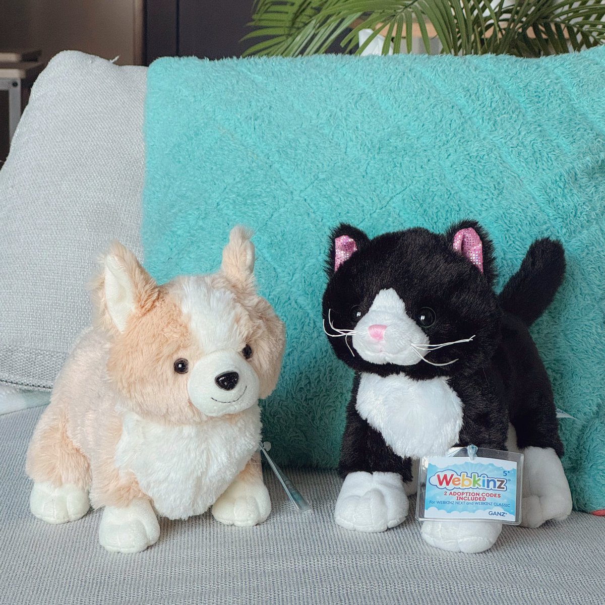 pinkyy997's tweet photo. Picked up two of the new Webkinz today. I love them! I’m getting the cow tomorrow too https://t.co/e4Mir1PQhO