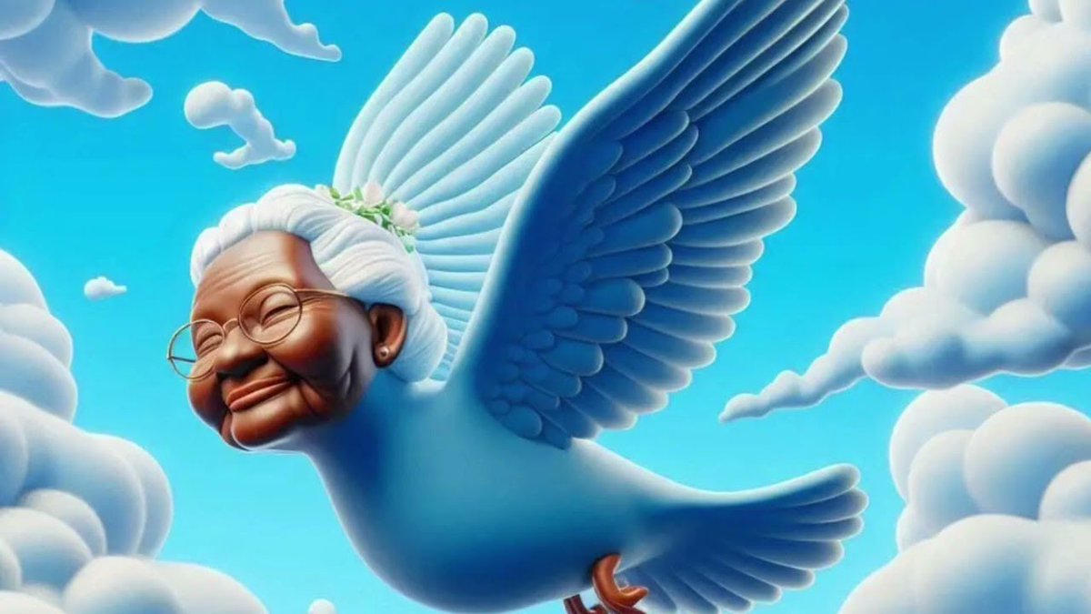 ахмед мосін tweet media