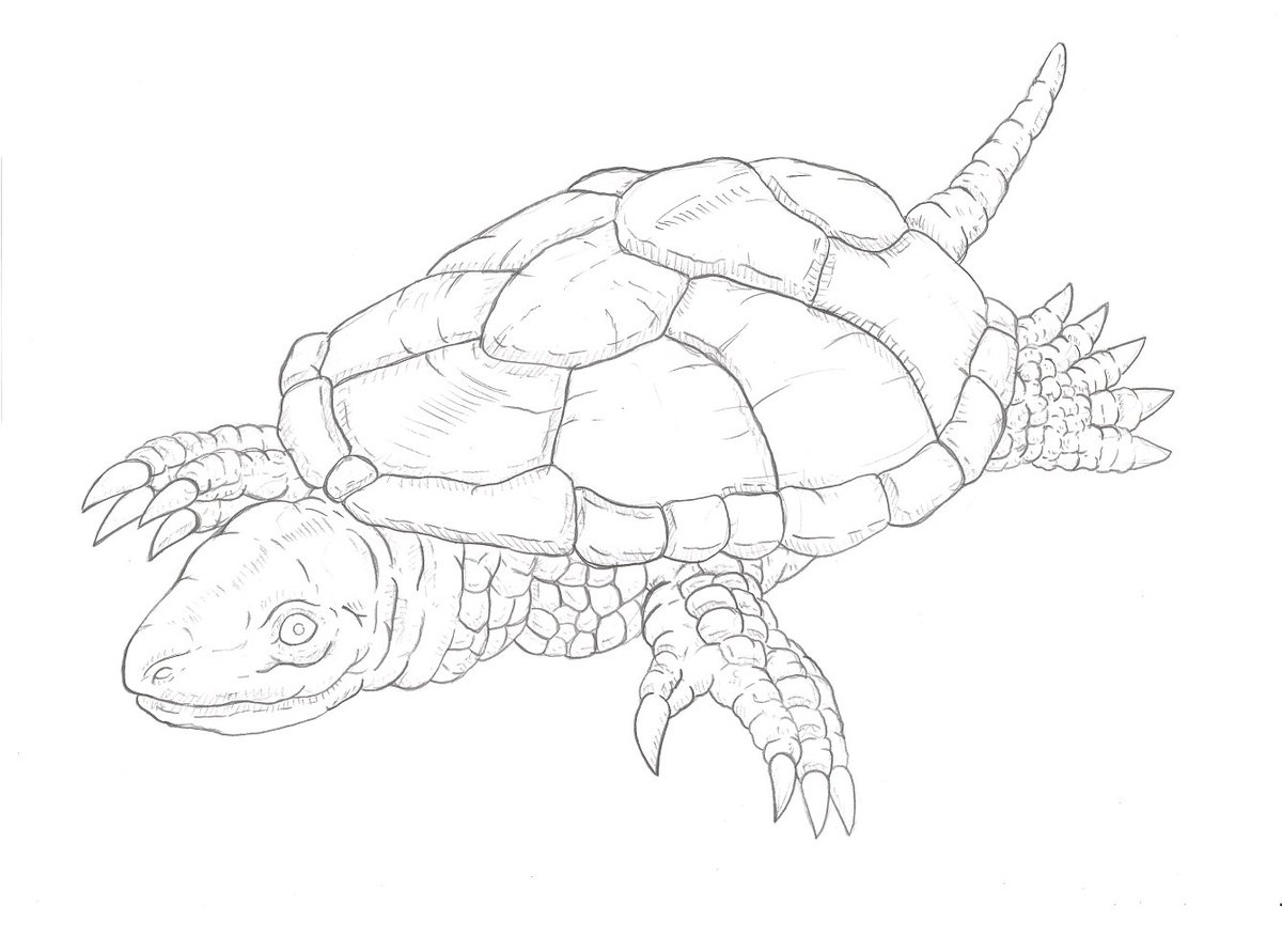 先日、2026/02/06は #ウルトラQ 第06話『育てよ！カメ！』の放送60周年