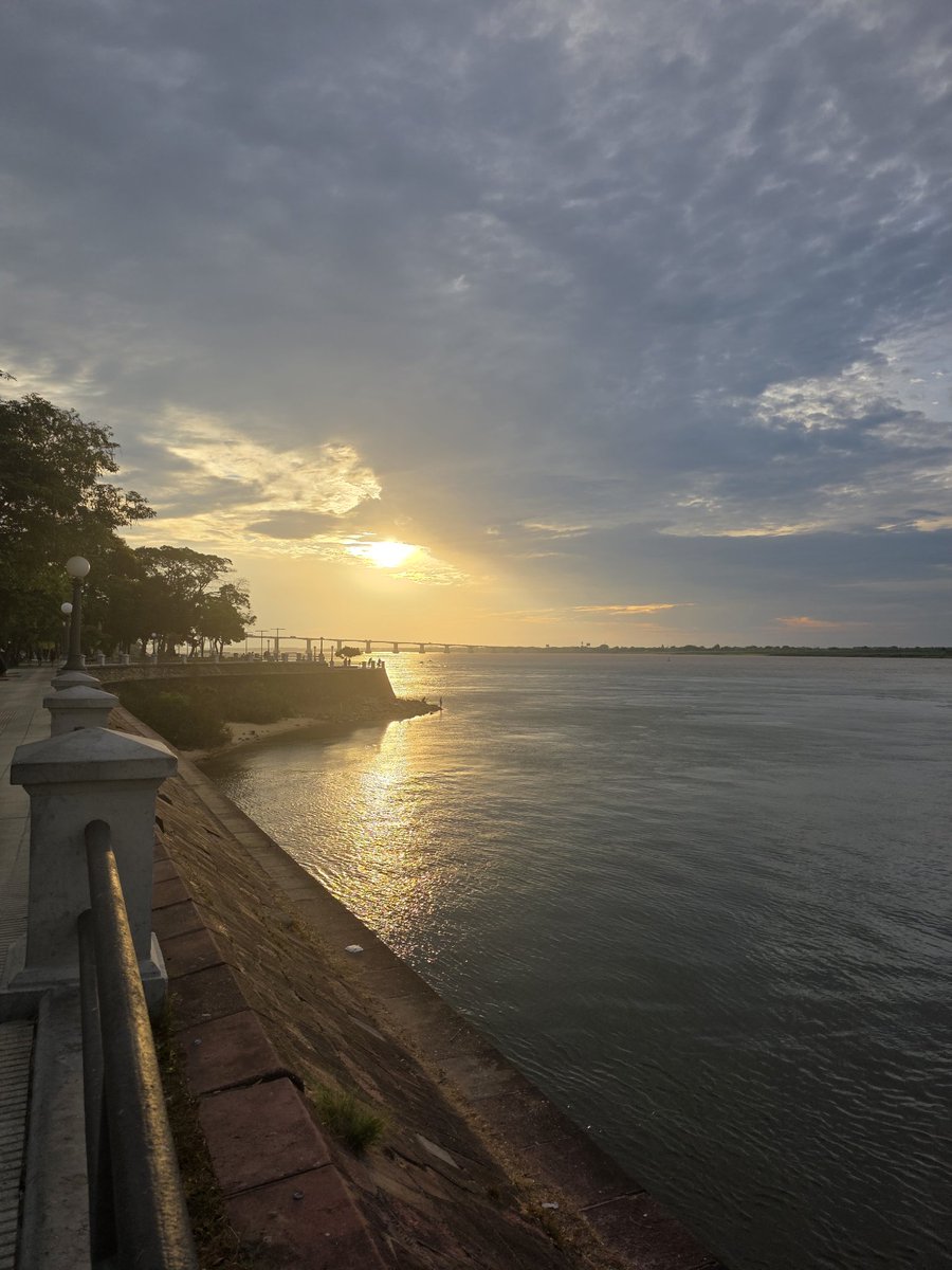 Esteban Maciel tweet media