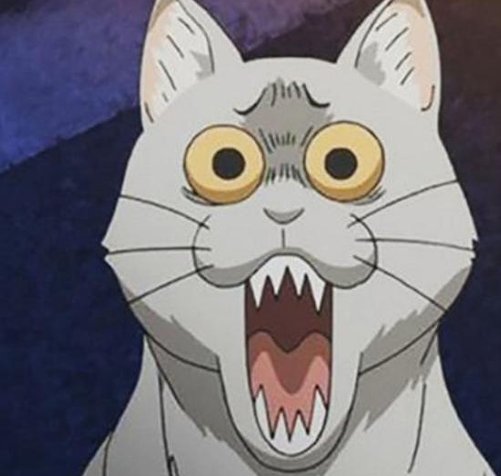 Jacoby24's tweet image. 単純家 🐒