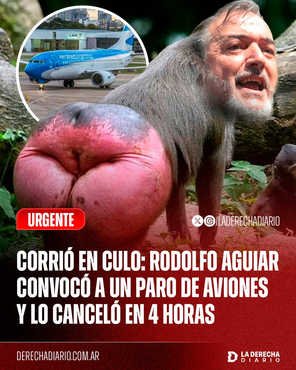 🚨🇦🇷 | CORRIÓ EN CULO: El líder piquetero de ATE, Rodolfo Aguiar, experto en recibir leche en la cara durante las manifestaciones en Plaza de Mayo, convocó a un paro de aviones y tuvo que cancelarlo en tan solo 4 horas al no conseguir suficiente apoyo de los propios trabajadores.