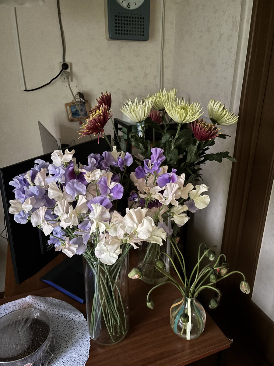 挨拶無しでもOKです この前買った花もまだあるし 挨拶だけして帰ろーと何も買わないつもり