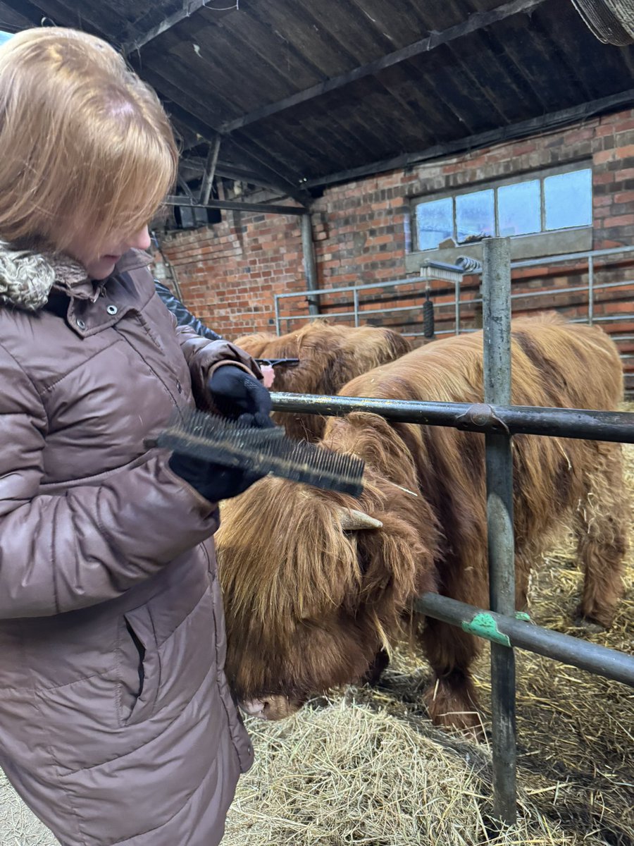 Jason Allen tweet media