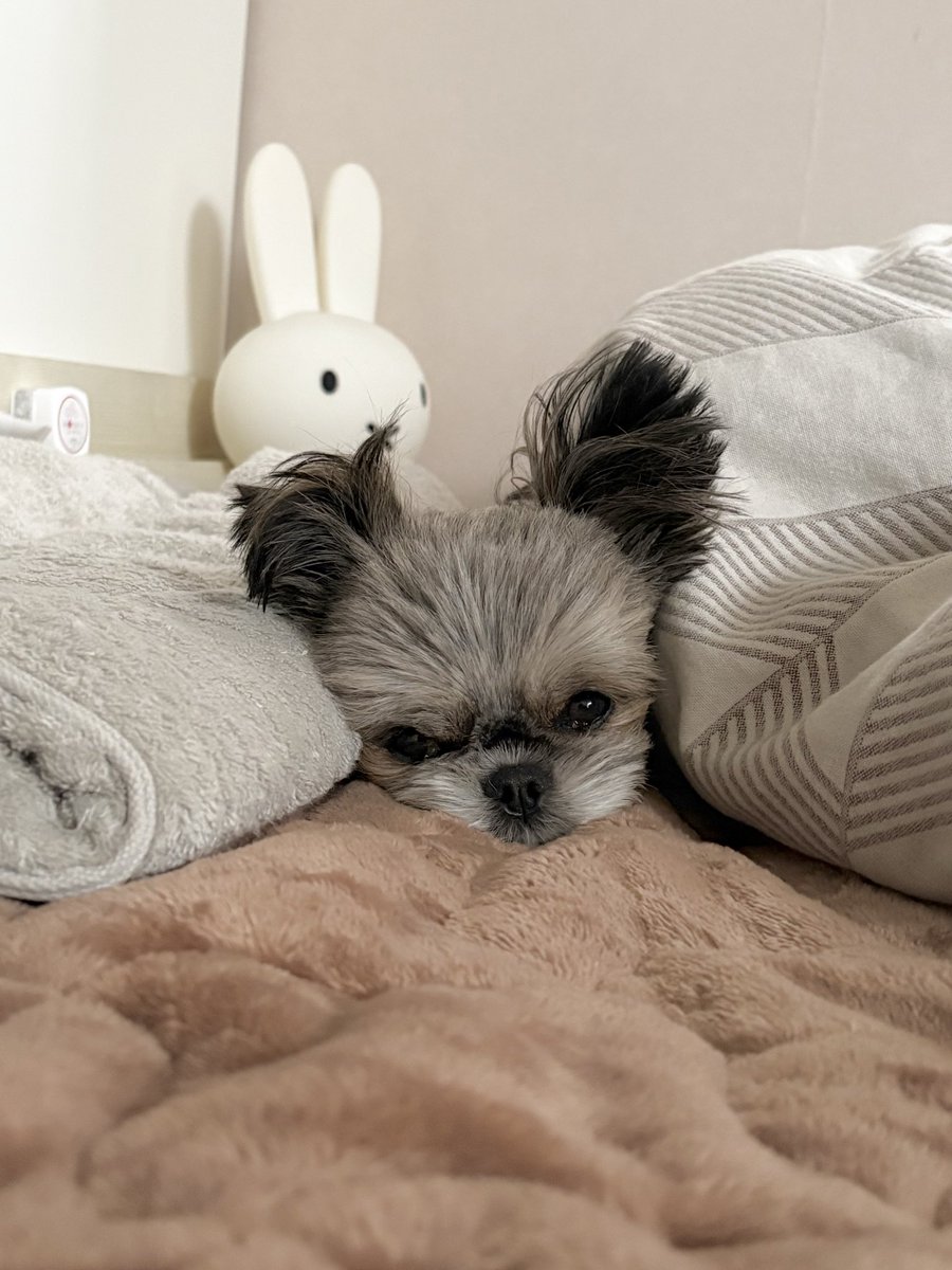 おはようございます