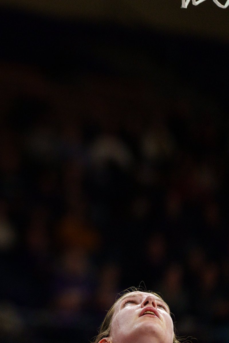 Sean Fan 📸 tweet media