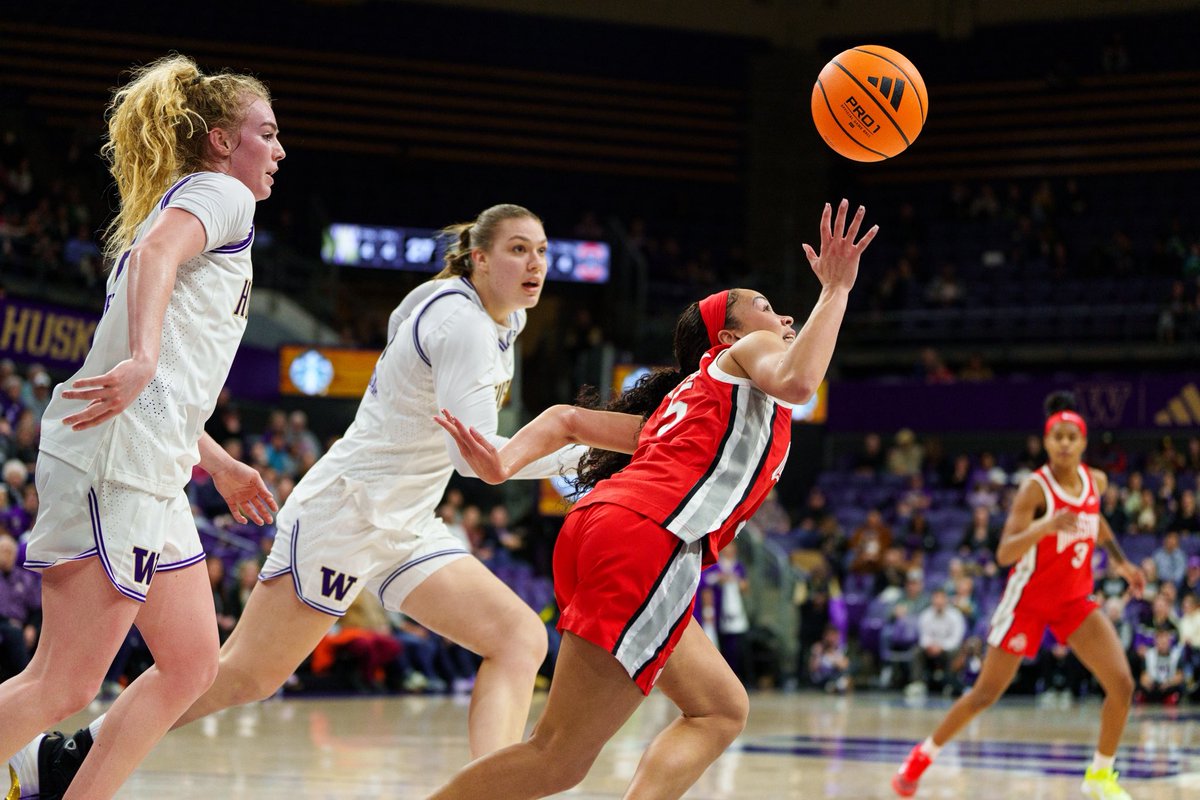 Sean Fan 📸 tweet media