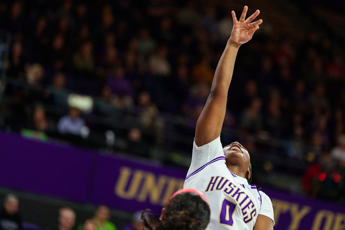 Sean Fan 📸 tweet media