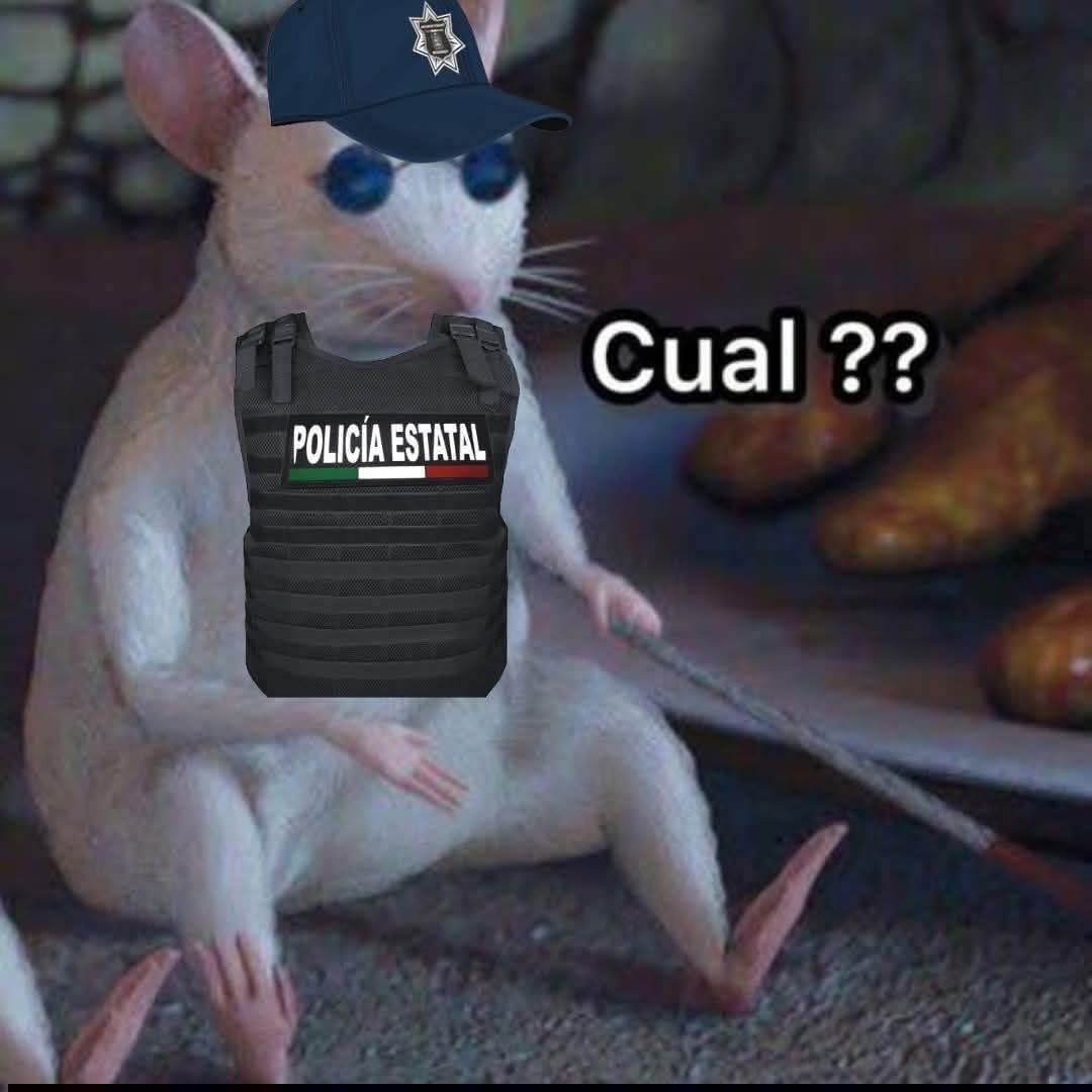 𝕰𝖑 𝕷𝖎𝖈𝖊𝖓𝖈𝖎𝖆𝖔 ҽɳ Cαɳƚιɳαʂ  tweet media