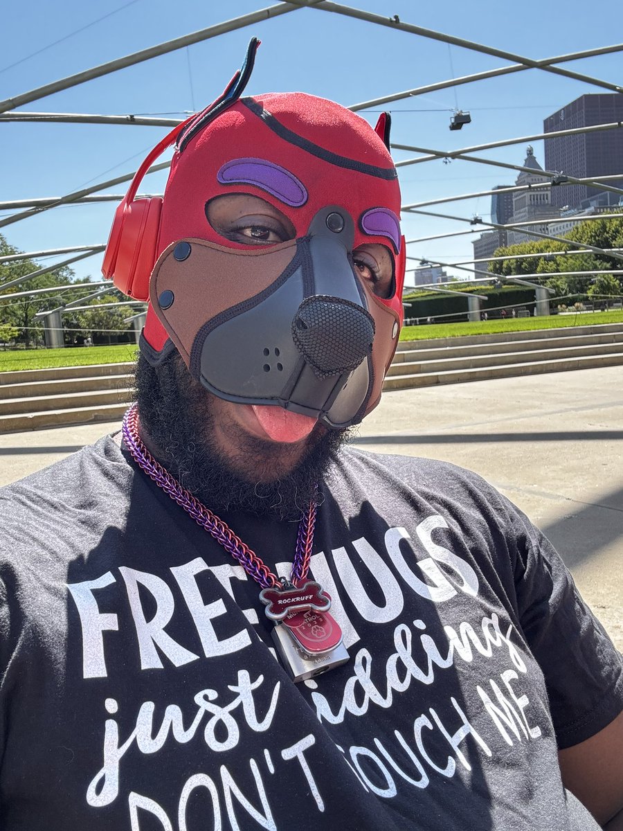 PupRockruff's tweet photo. #puphood #pupsoftwitter https://t.co/SfGsr9qKX8