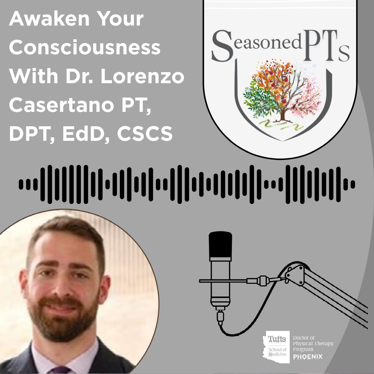 Tufts Doctor of Physical Therapy Programs tweet media