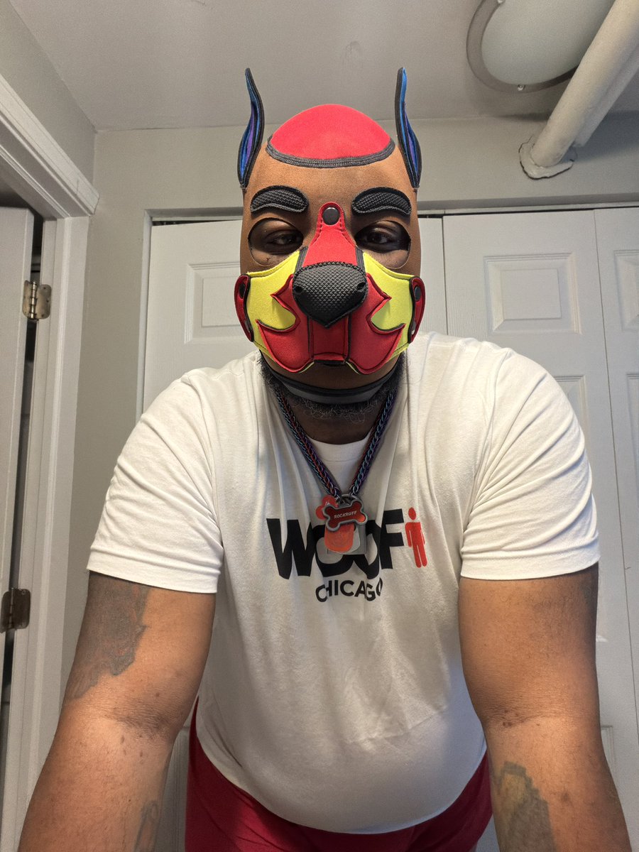 PupRockruff's tweet photo. Just 'cause #puphood #pupsoftwitter https://t.co/L0OEkbp72L