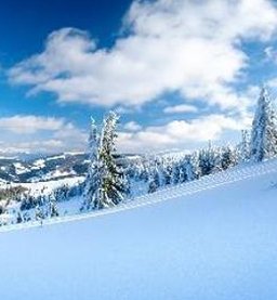 ZBlueMagicZ's tweet image. 美しい鳥 🐅