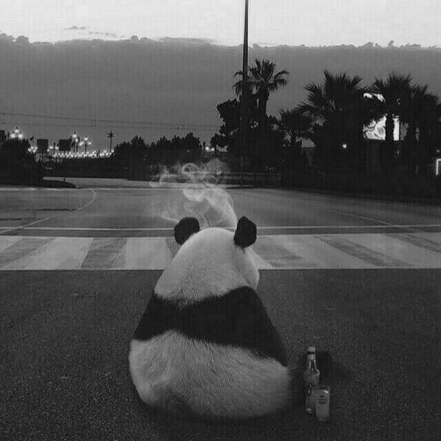 darkdreamvibe's tweet photo. https://t.co/cEGiAa3DGr