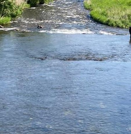 Marcelooliverer's tweet image. 体が優しい 😒