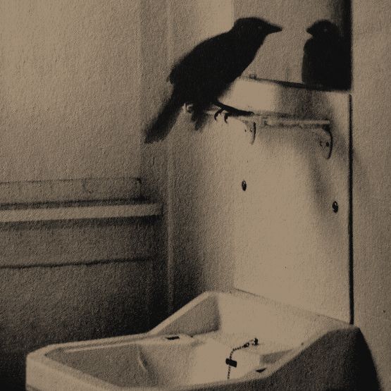 Lens of the world (@worldreamvibes) on Twitter photo 