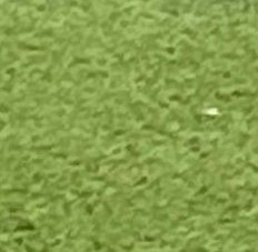 powershan's tweet image. 世界はなぜかな？ 🦂