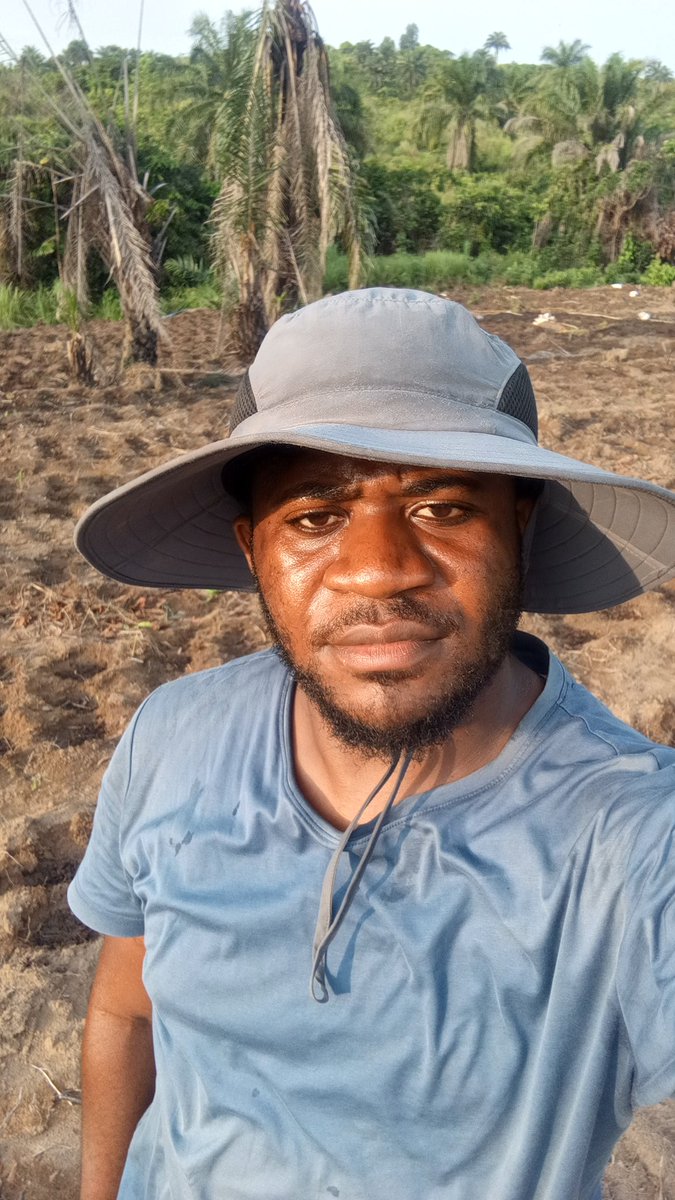 Bornagues🇨🇩Kubakidi tweet media