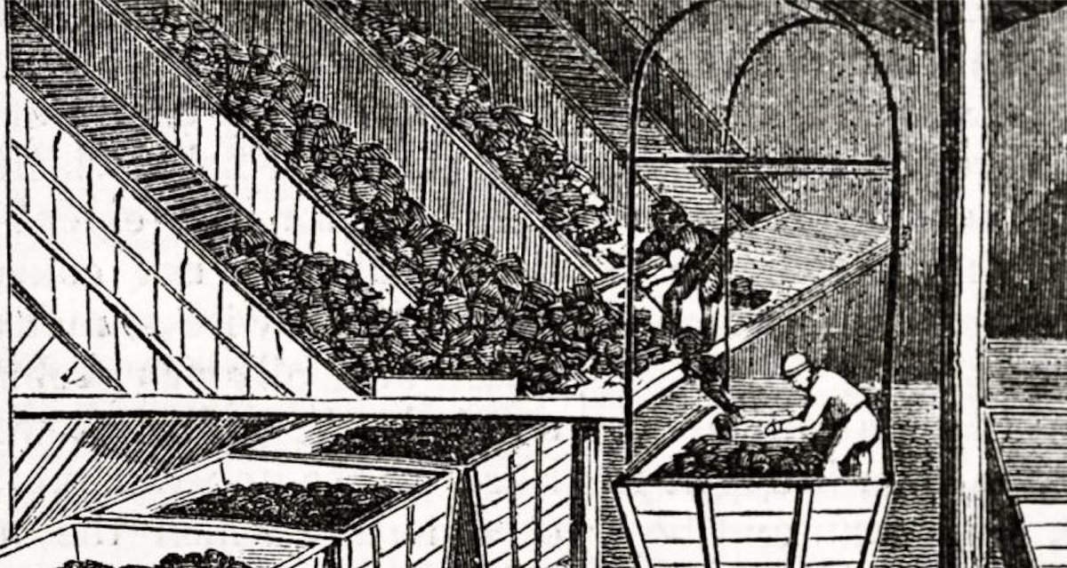 Deena Mousa tweet media