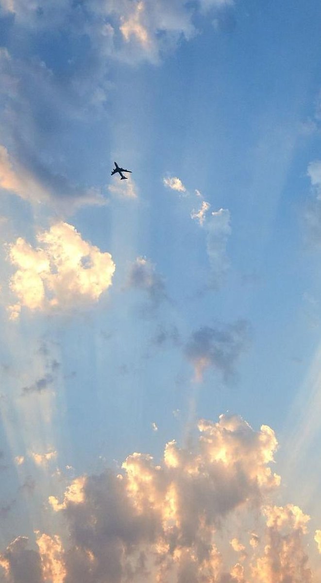 predsedos's tweet image. 古い長さ 😌