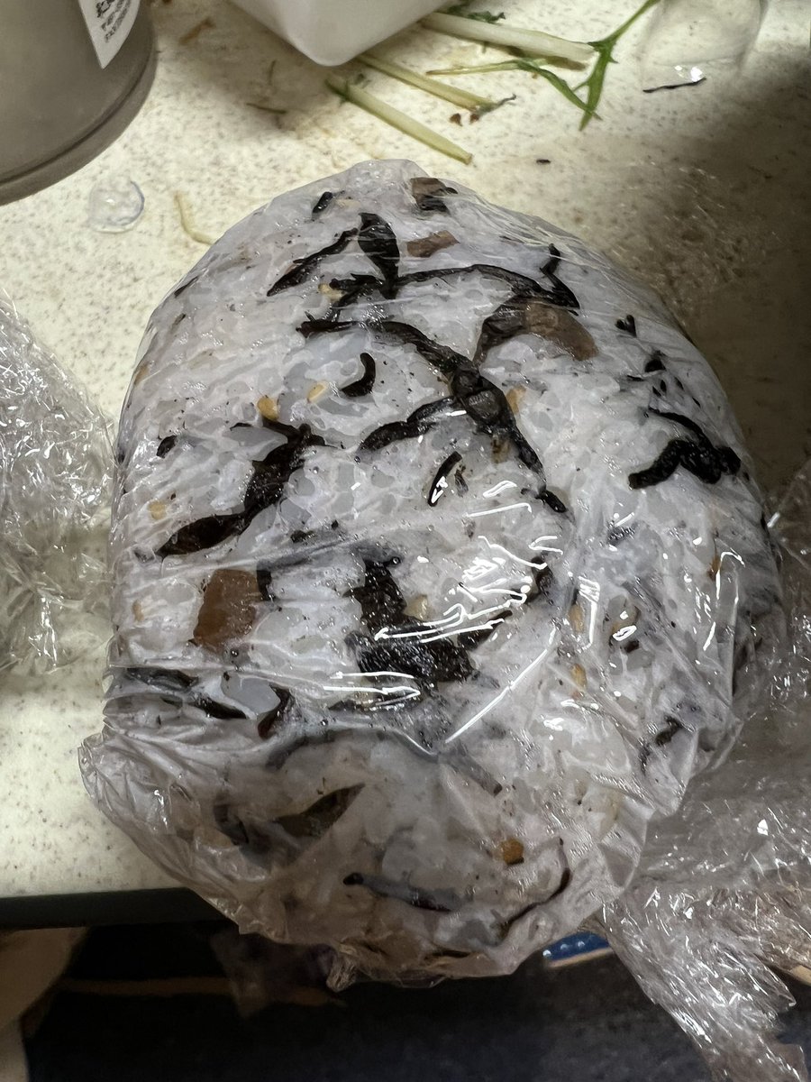 今シーズンもスタグルたくさん楽しむぞ！！！！！
#Jリーグ百年構想リーグ