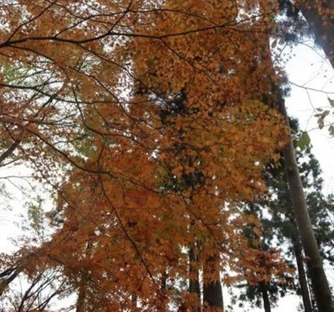 bbull1028's tweet image. 第49日 🌜