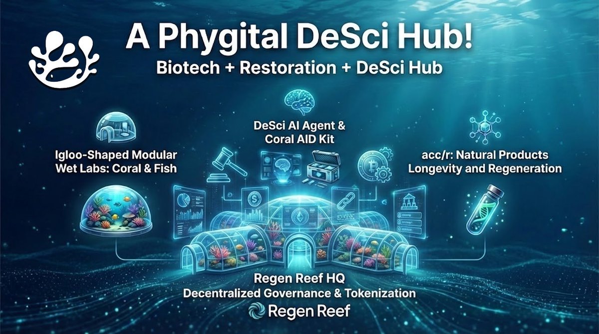 MesoReef DAO 🌊🪸🐠✨ tweet media