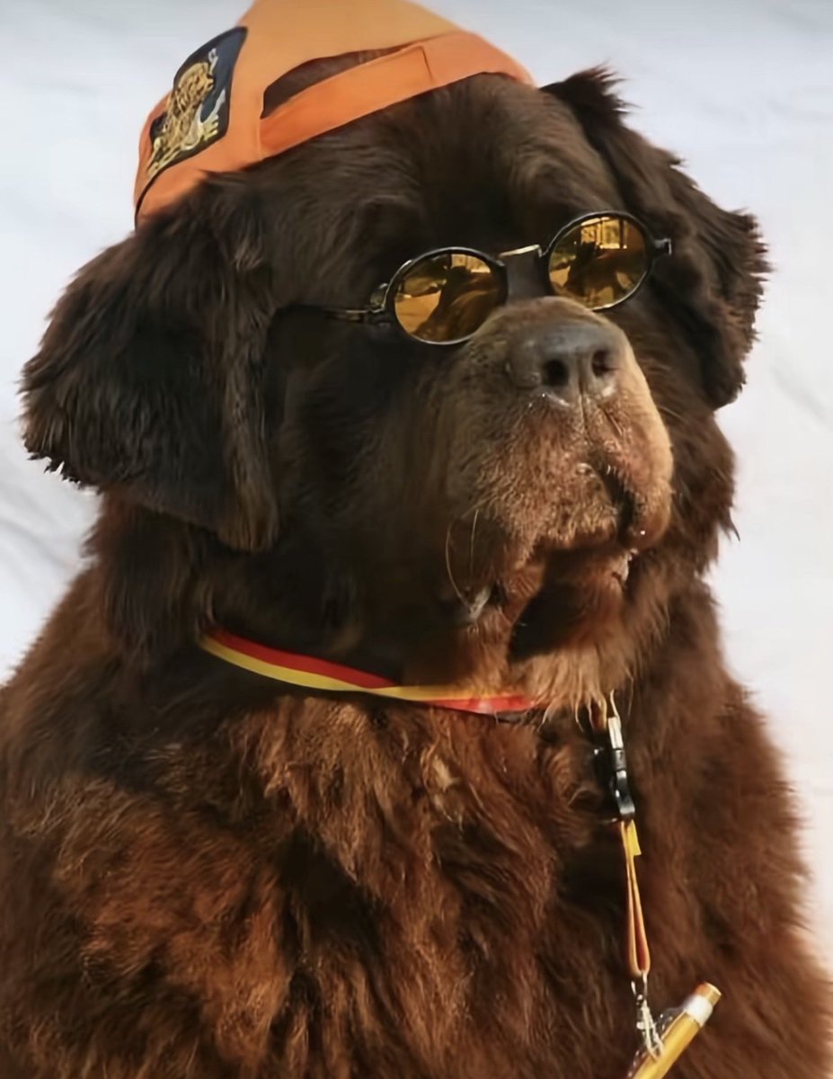 urban reign?

twitch.tv/privatelexi