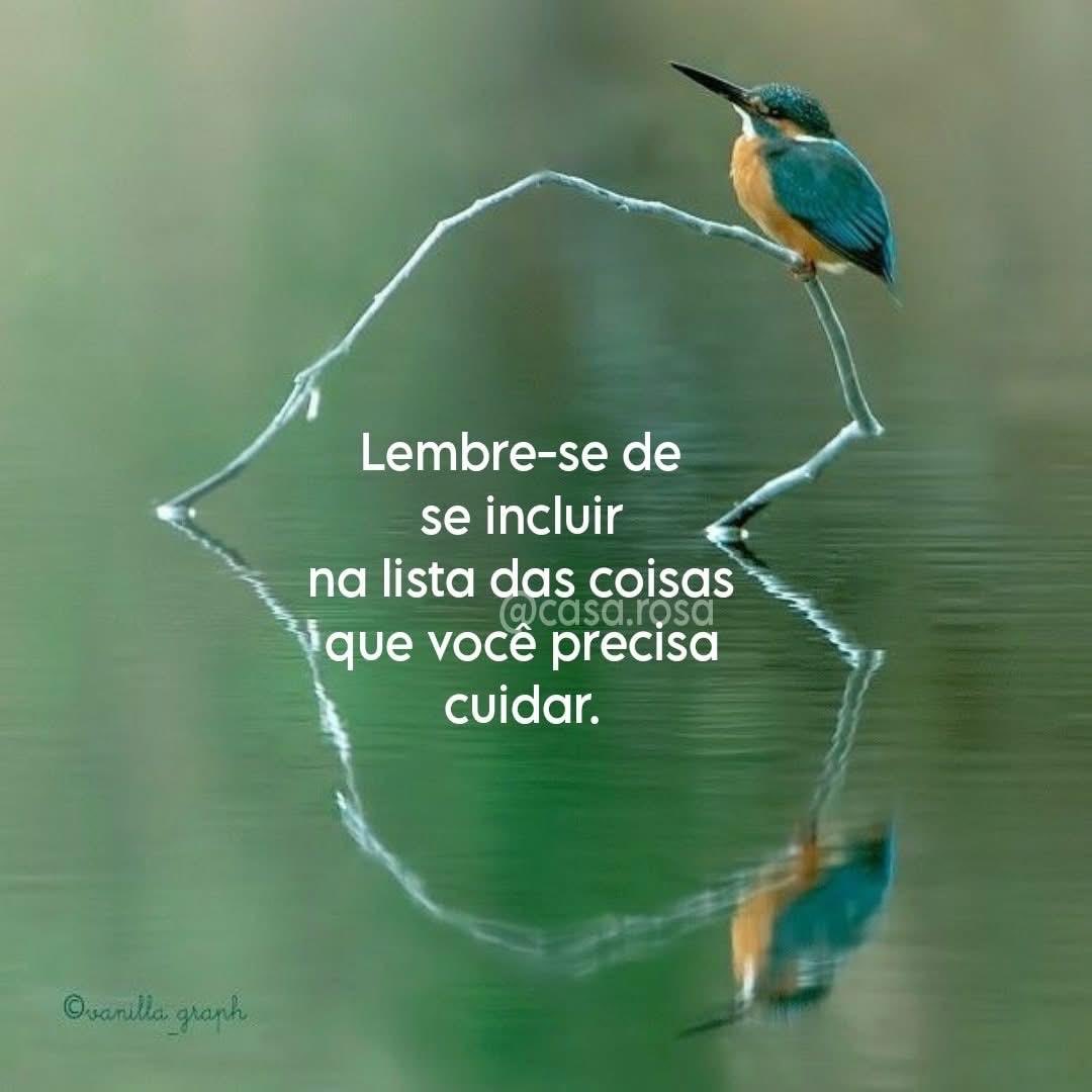 Hildarezende's tweet photo. https://t.co/VoemkagGN3