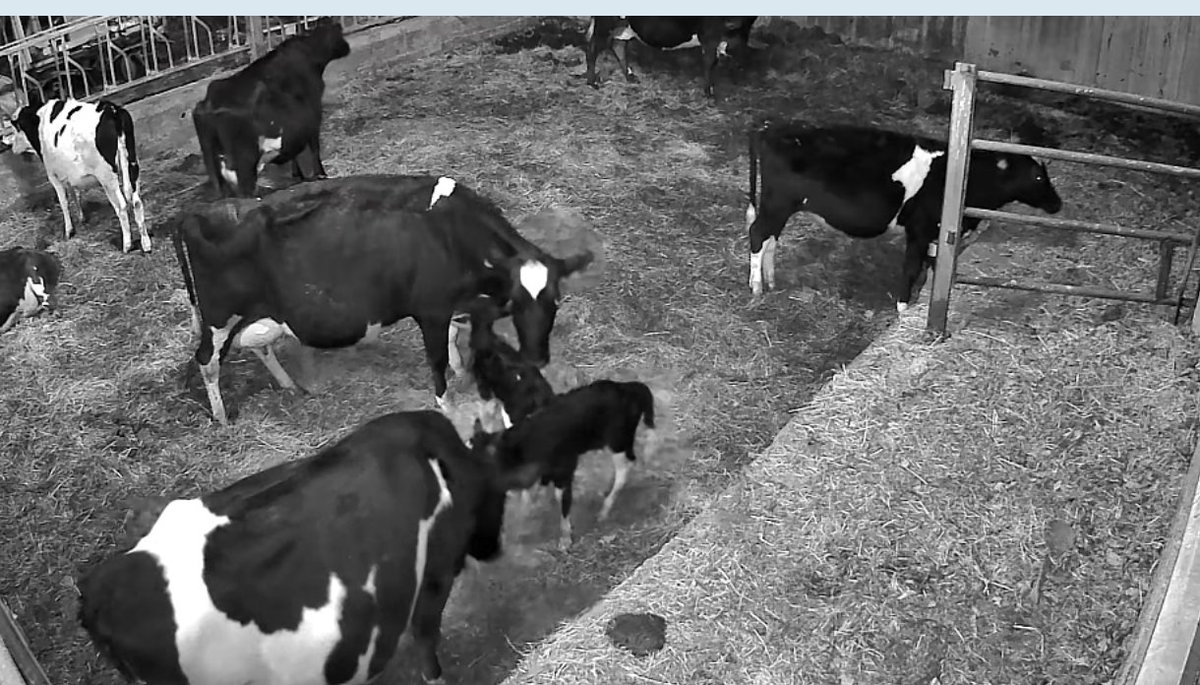 Olivier GLINEC tweet media