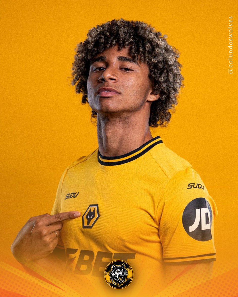 𝗖𝗼𝗹𝘂𝗻𝗮 𝗱𝗼𝘀 𝗪𝗼𝗹𝘃𝗲𝘀 🐺🇧🇷 tweet media