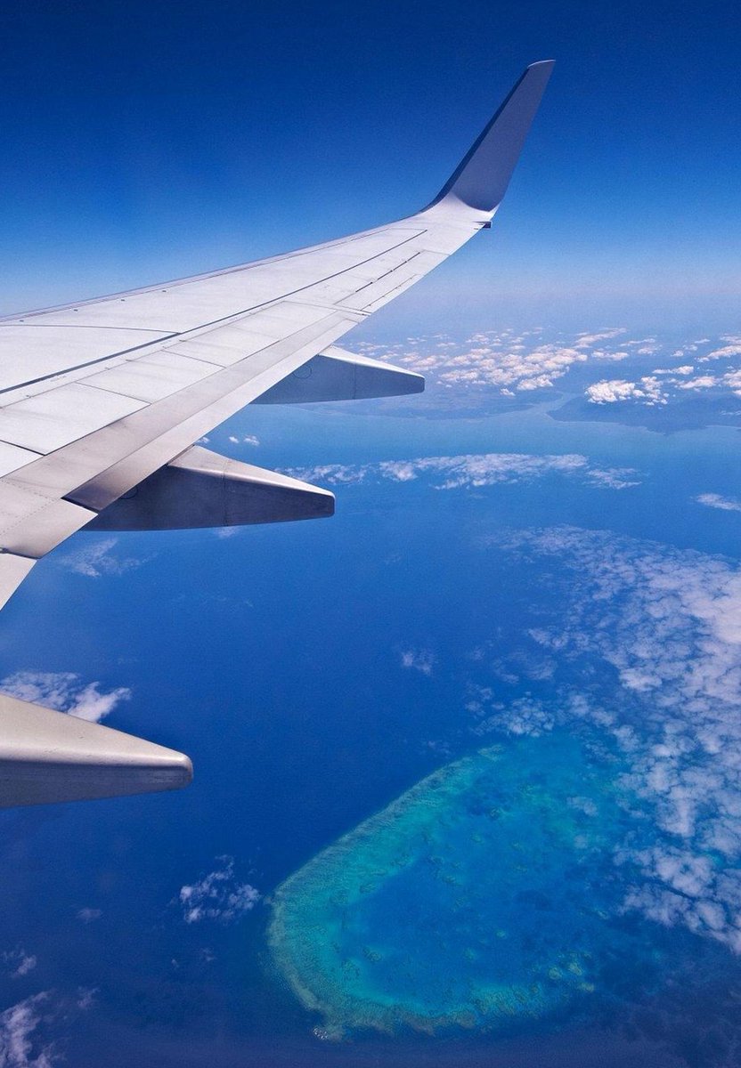 closexpbat's tweet image. 明るい勉強 🐷