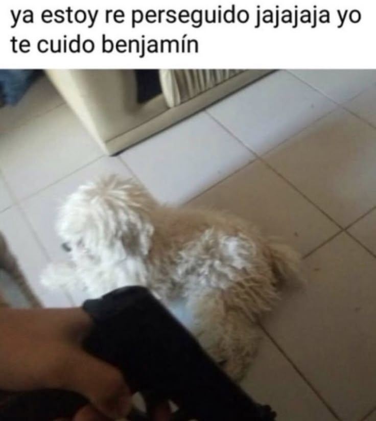 Thiago (@mthiaglock) on Twitter photo 