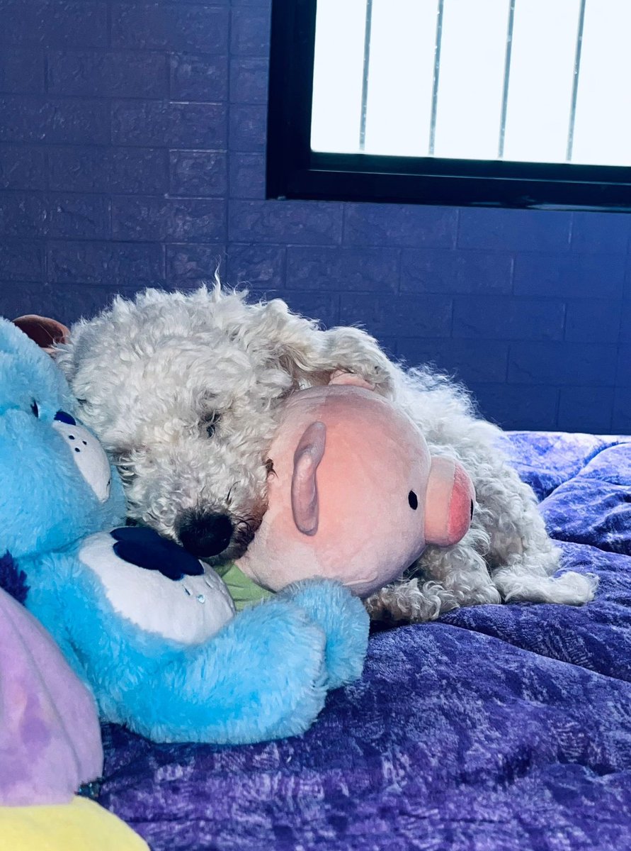 hiddlestb's tweet image. user hiddlestb off tw