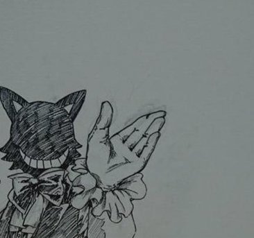 bcushing2's tweet image. 森に訪問 👄