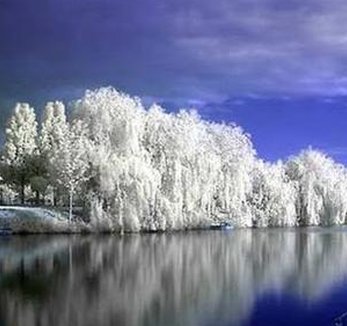 dsmith2001's tweet image. 親に感謝 🌧️