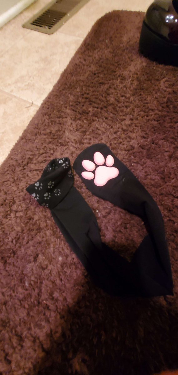 GamerHeart67715's tweet photo. These are so cute can't wait to cuddle with them with my pokémon plushies 
#catpaw 
#peets 
#pawprintsock https://t.co/c5tdW274db