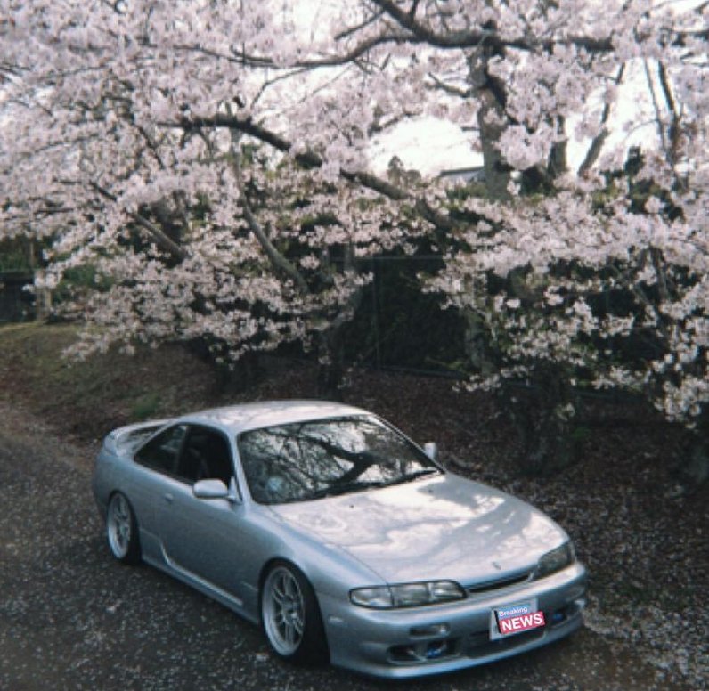 PreTty_PraPiRun's tweet image. 本を入る 🌙