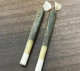 prmuns's tweet image. 夜に夕食する 🐜