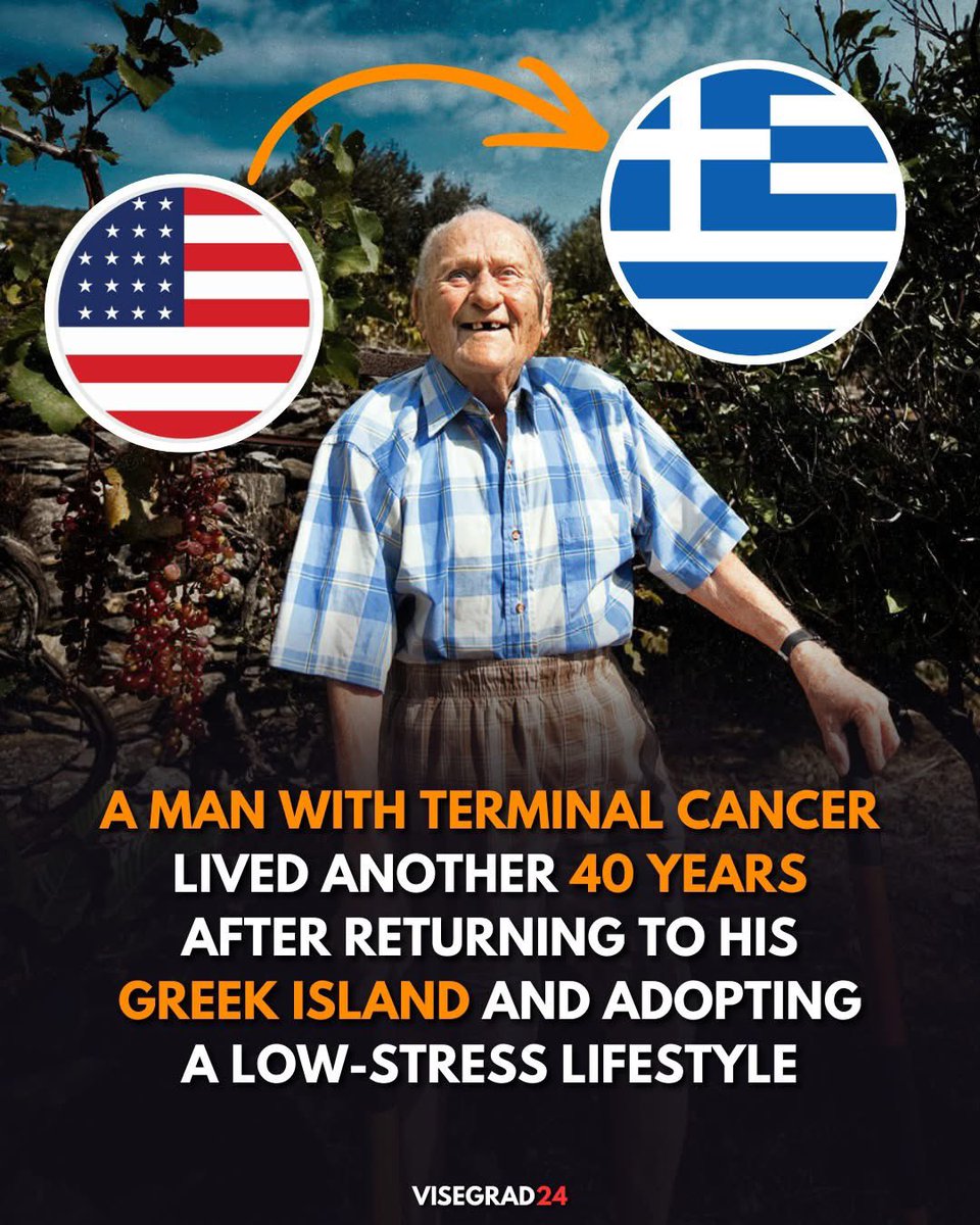 Visegrád 24 tweet media