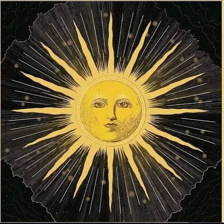 LexaCola™ tweet media