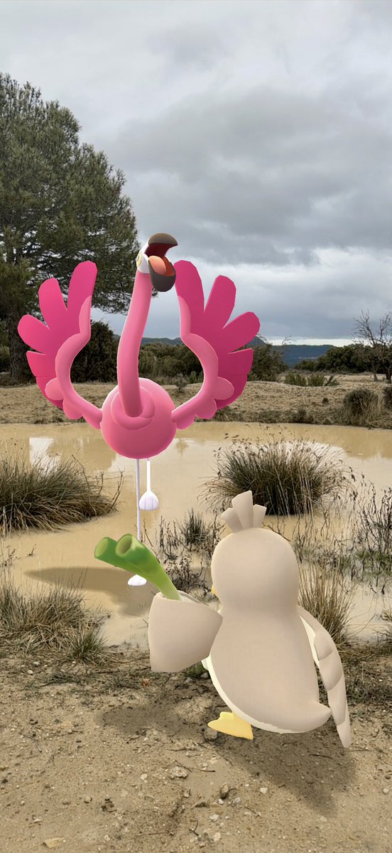 neco159100's tweet photo. Hoy un Flamigo 100IV!! 
Y nivel 77!! Que ganas tenía de terminar los combates Max! 
#GOsnapshot #Pokemon #PokemonGo
#PokemonGOApp #ARofTheDay
#GOsnapshotCelebration https://t.co/1M6YNezsJC