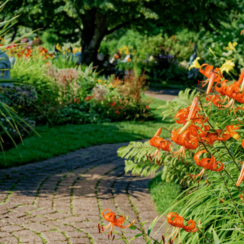 FireSmart BC tweet media