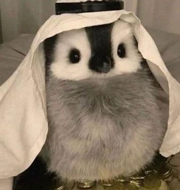 Bluebagger23's tweet image. 若い映画 👩‍👩‍👦‍👦