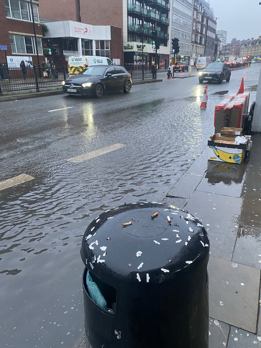 Lucy Findlay tweet media