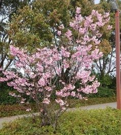 ProjectShareInc's tweet image. 映画にハマってる 🦇