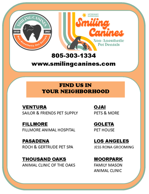 COMMUNITY FOCUS: (Ventura County)
Smiling Canines
805-303-1334
smilingcanines.com
facebook.com/smilingcanines/