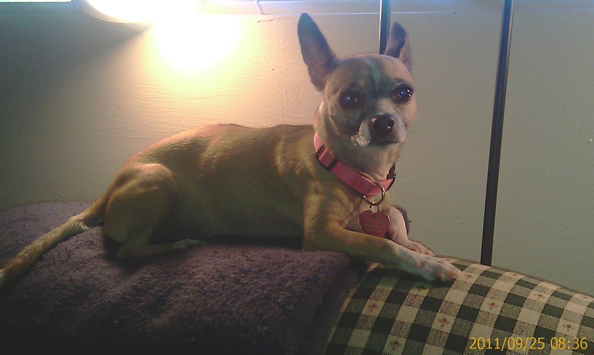 Kurt Rex Cooper tweet media