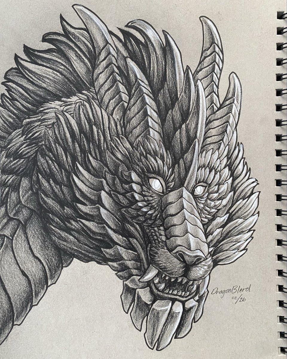 Dragon Portrait Drawing