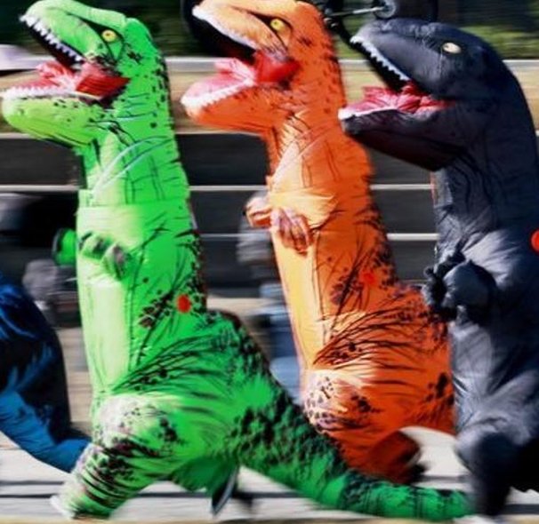 make_dolor's tweet image. 明日ドライブを休む 🦉